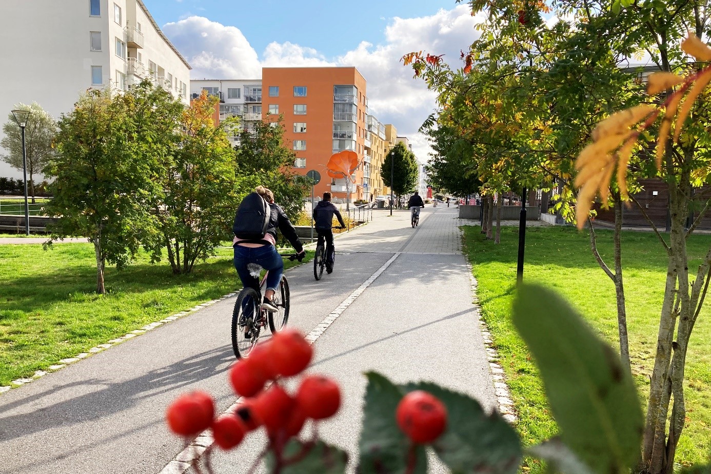 Personer cyklar på en cykelbana
